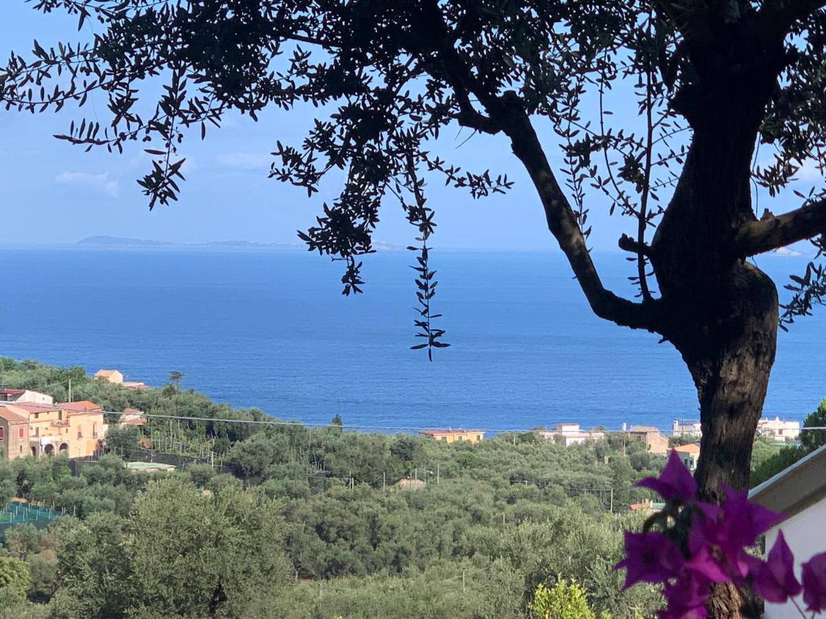 Villa Giovanna Sorrento Exterior photo