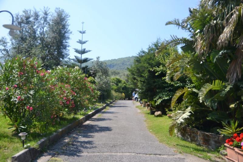 Villa Giovanna Sorrento Exterior photo